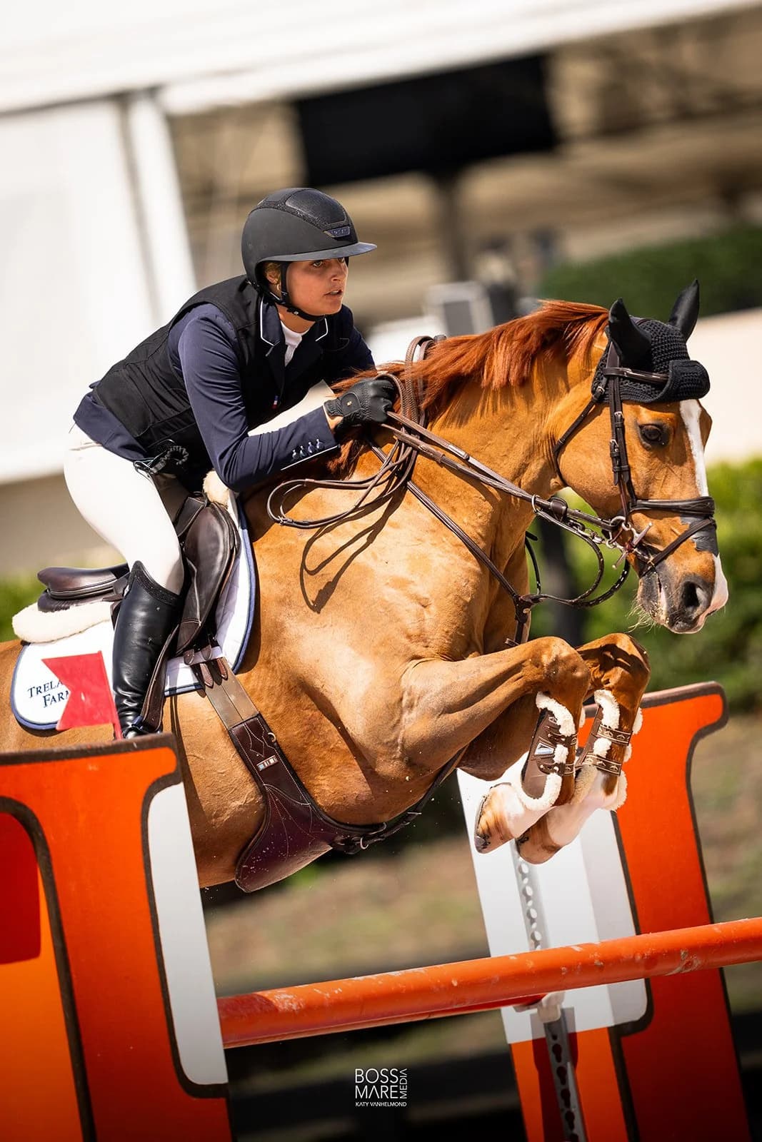 A grey horse tucked neatly over a jump in international competition