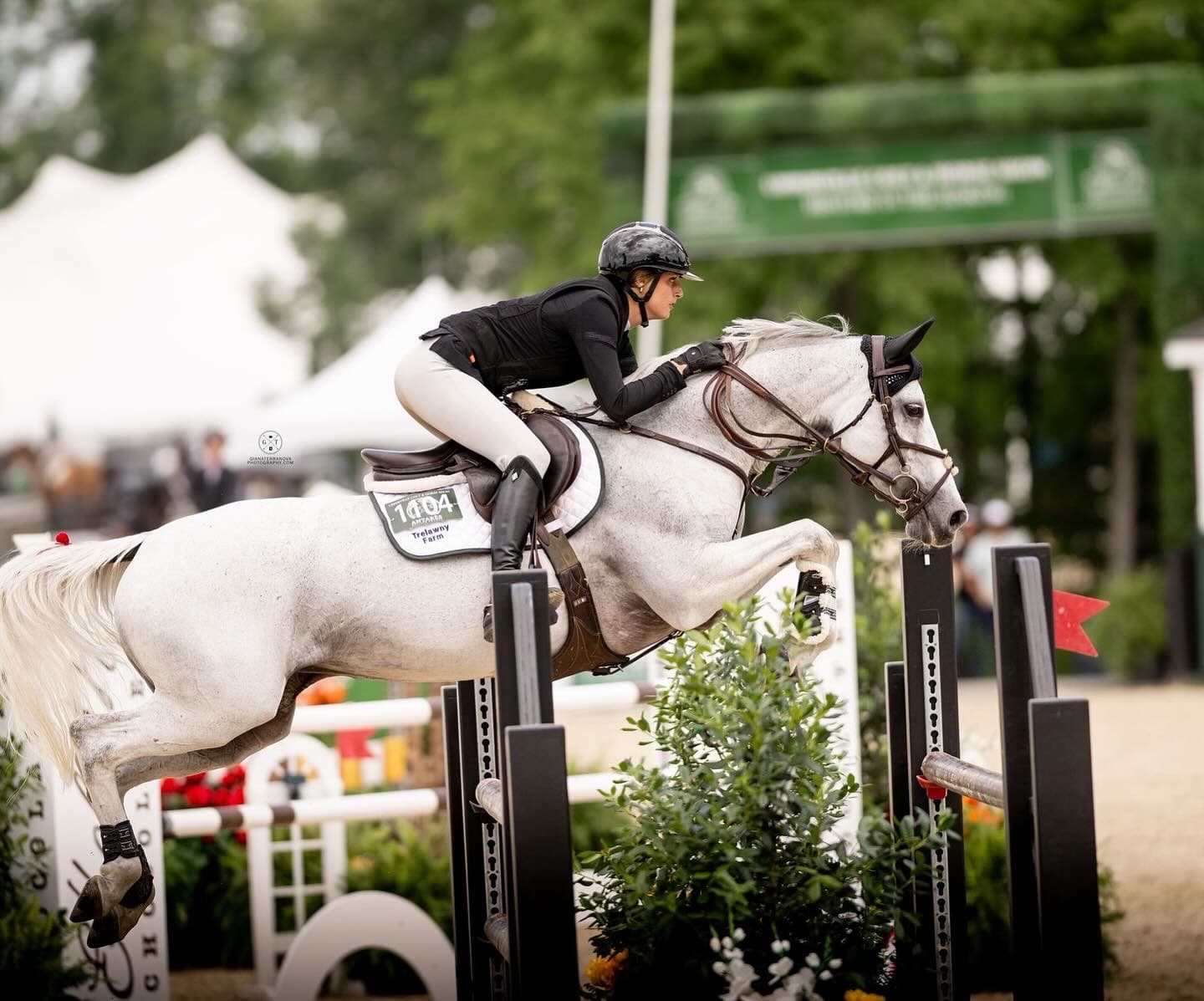 Emma Marlowe and a grey horse in the air over a rustic oxer in front of the grandstand